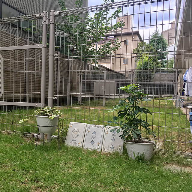 seiasaさんの実例写真