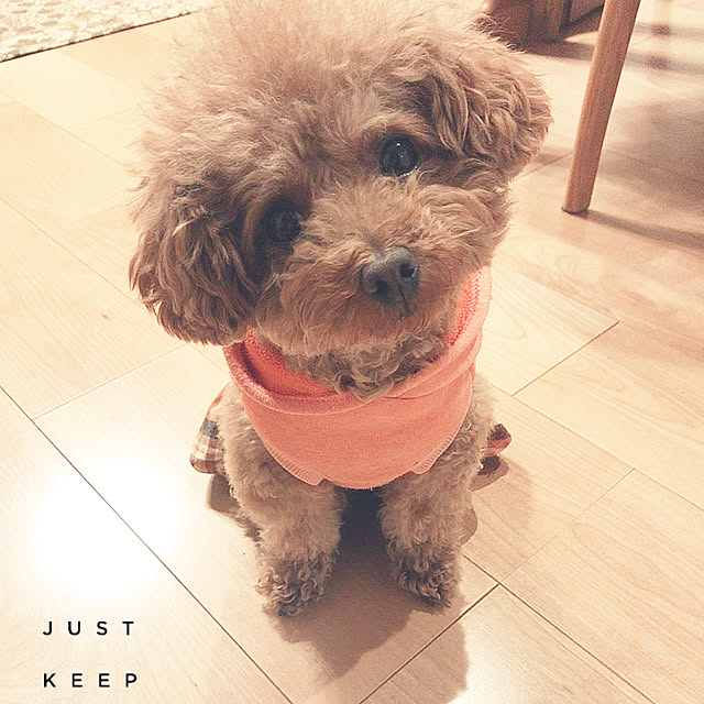shellyさんの実例写真