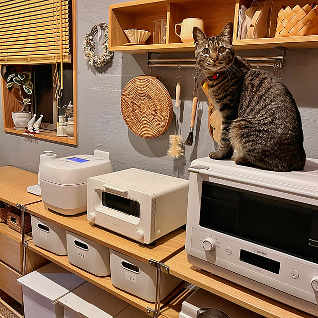 puu.tuuliさんの部屋