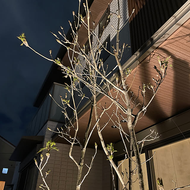 muramochidottiさんの部屋