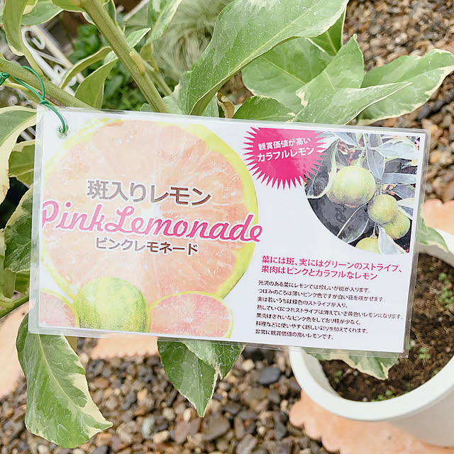 yukiminさんの部屋