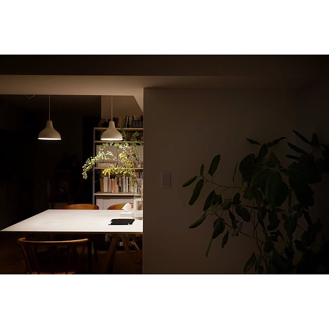 フィカス・ベンガレンシス/無印良品 ユニットシェルフ/北欧/インテリアグリーン/観葉植物...などのインテリア実例 - 2020-03-05 00:11:59