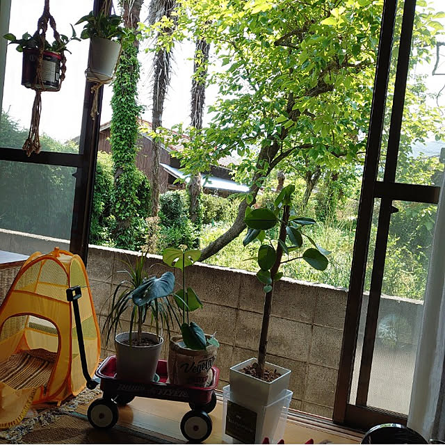 fukuさんの実例写真