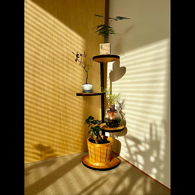 tamabaka1971さんの部屋