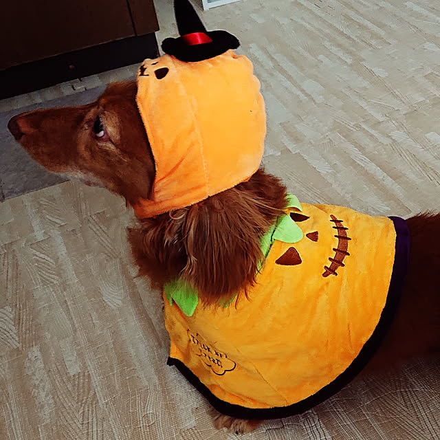 tora.maさんの実例写真