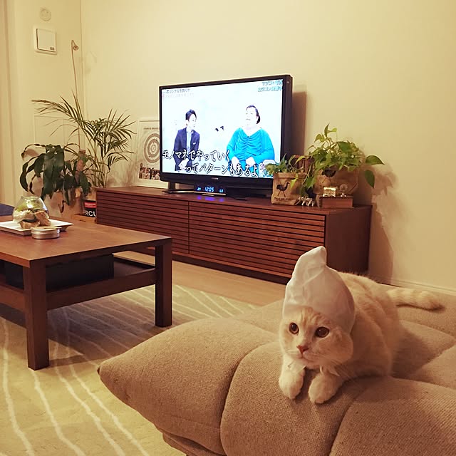y.k.0123さんの実例写真