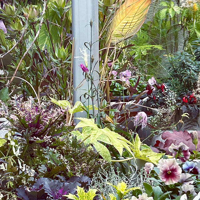 DAYONEさんの実例写真