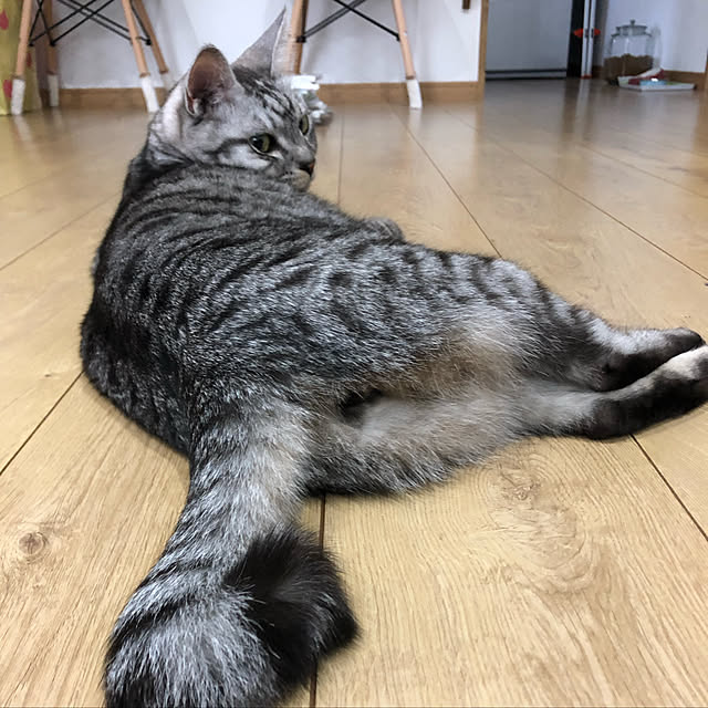 syrnuu946さんの実例写真