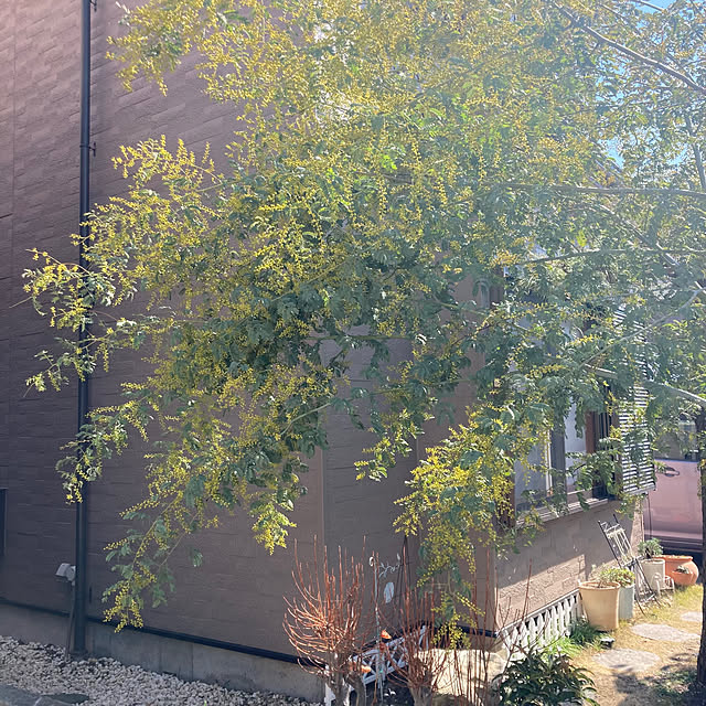 mamaさんの実例写真