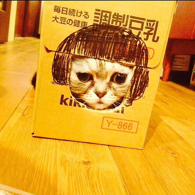 fuku48さんの実例写真