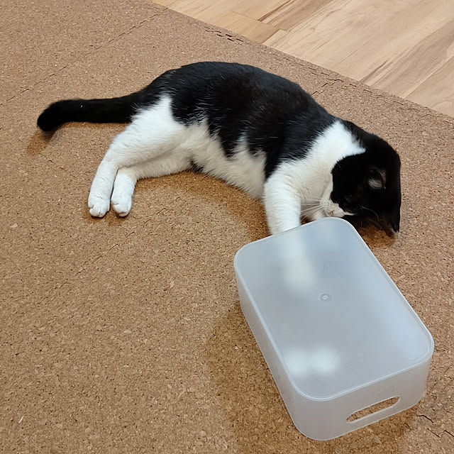 hihaさんの実例写真