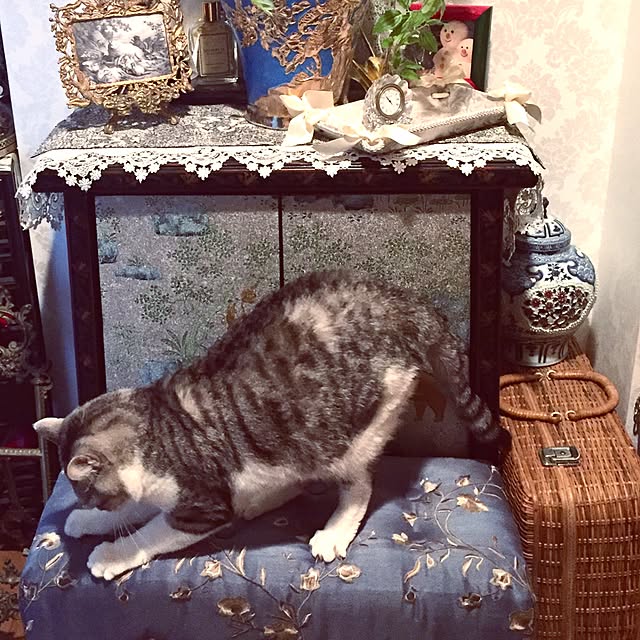 emmyyさんの実例写真