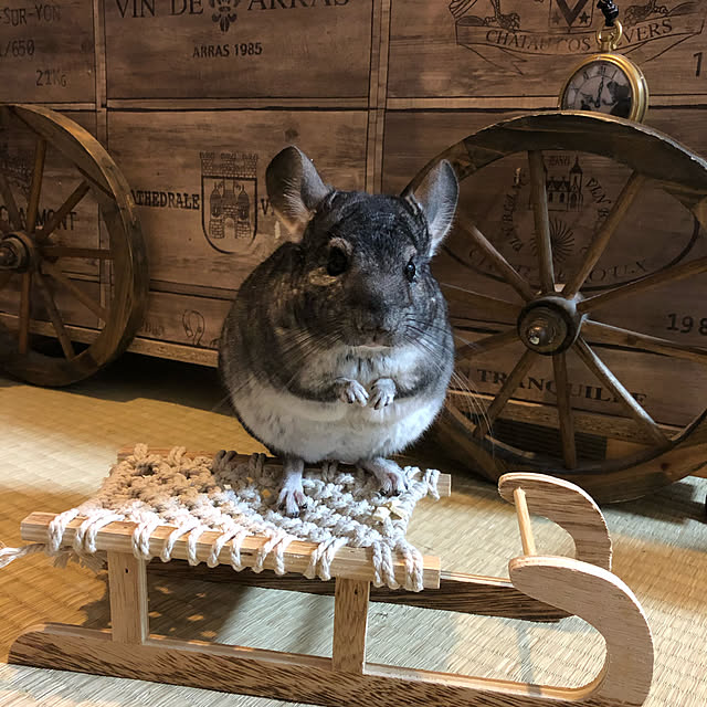 bambiさんの実例写真