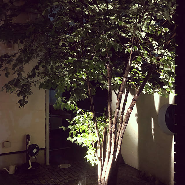 kureko0216さんの実例写真