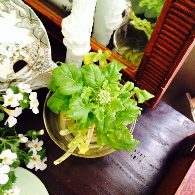 Kunlunflower297さんの実例写真