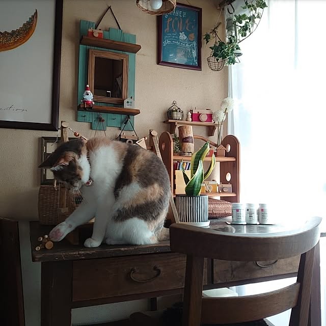 fukuさんの部屋