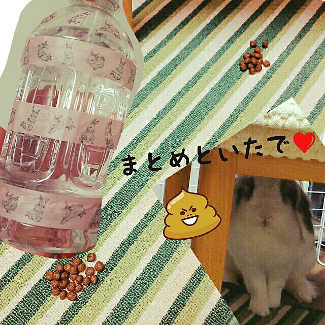 WASABIさんの実例写真