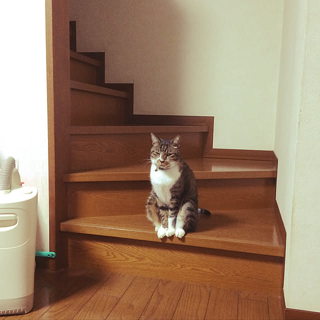 kirakirahoshiさんの実例写真