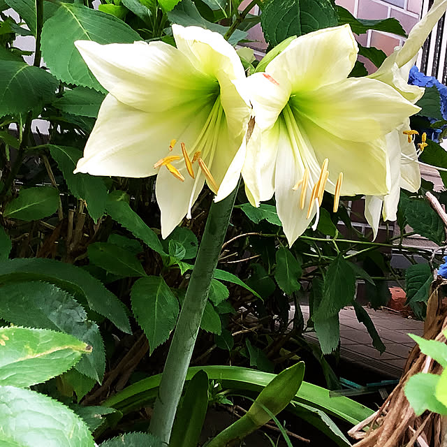 taeさんの部屋