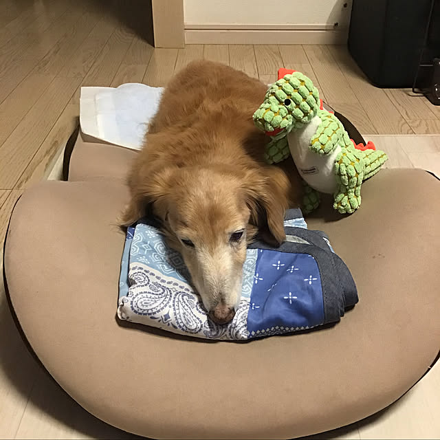 hanamimiさんの実例写真