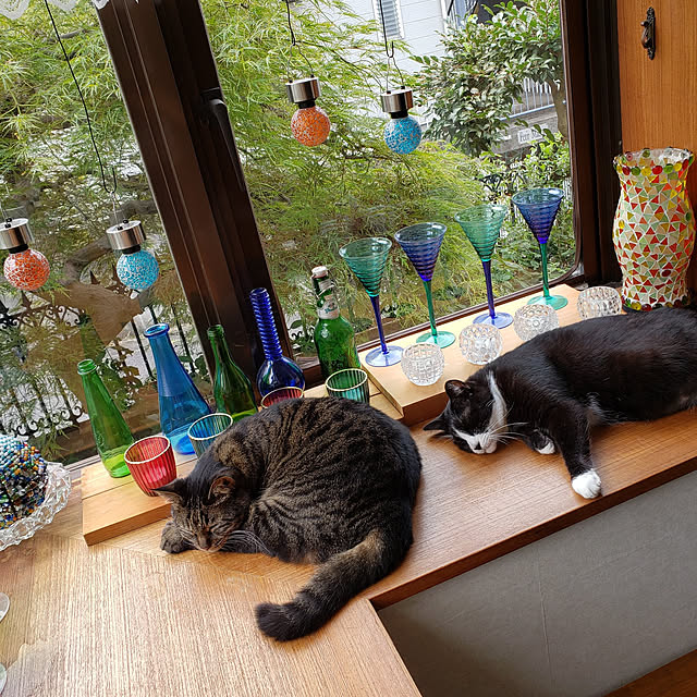 Mayumi8888さんの実例写真