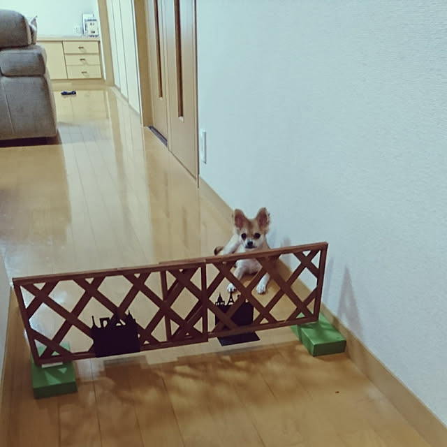 nattimomoさんの実例写真