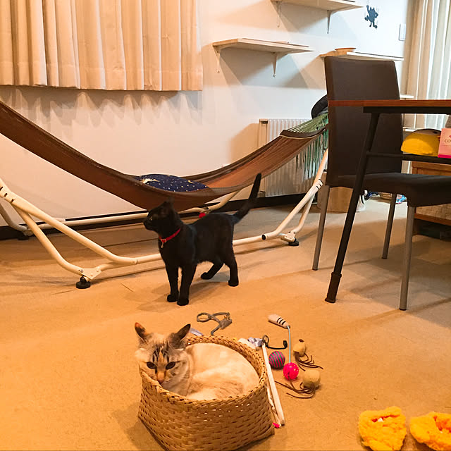 nanaさんの実例写真