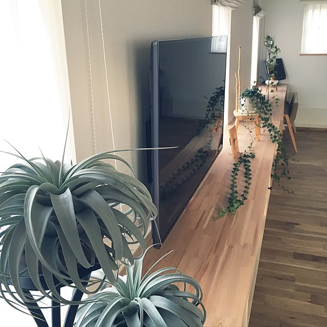 t.kさんの実例写真