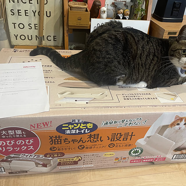 Youkoさんの実例写真