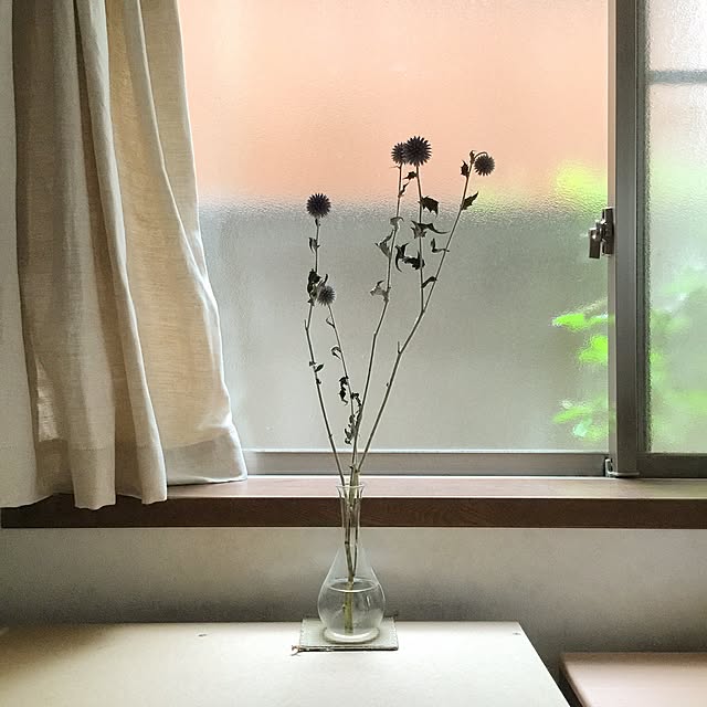 ht6030さんの実例写真