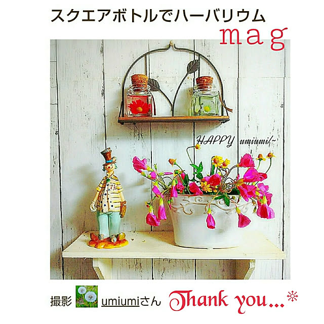 umiumiさんの実例写真