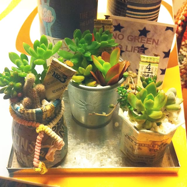 ciao0923さんの実例写真
