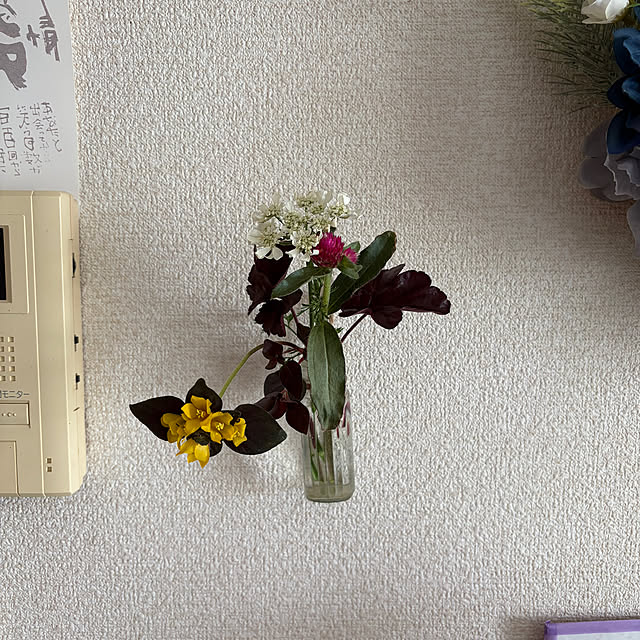 ritsukoさんの部屋