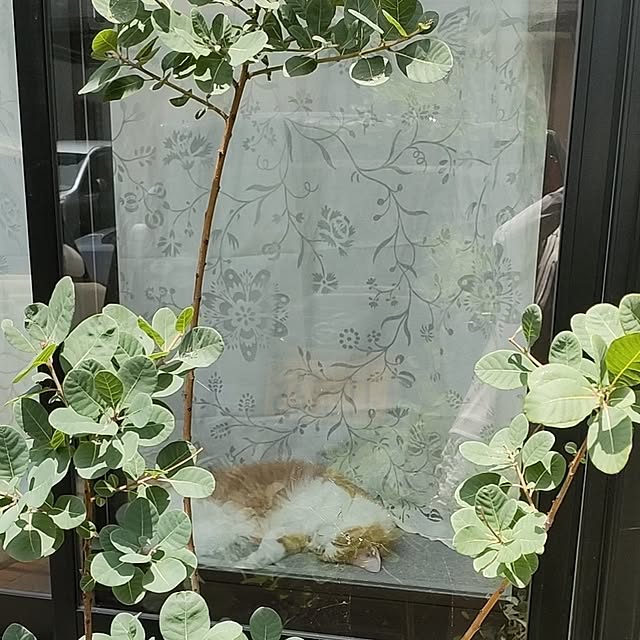 mori_6_12さんの実例写真