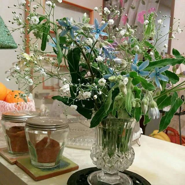 norikoshellpinkさんの実例写真