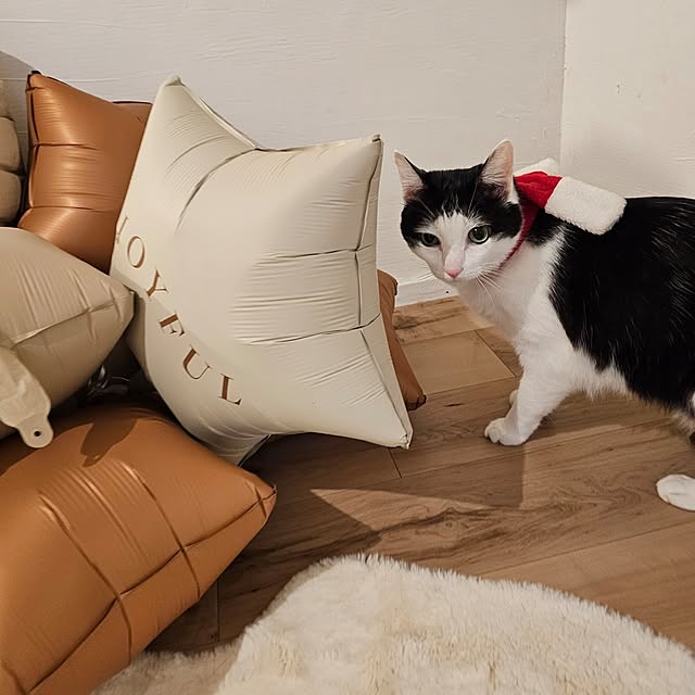 harukaさんの実例写真