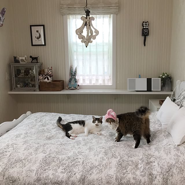 yuchiさんの実例写真