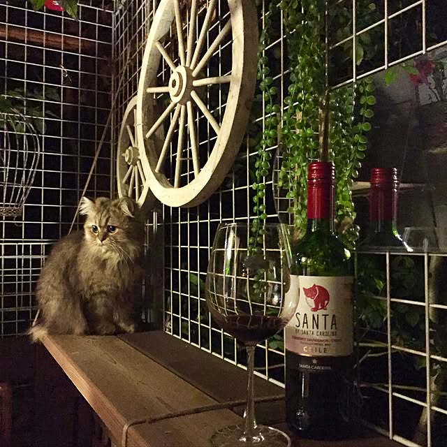 butachanさんの実例写真