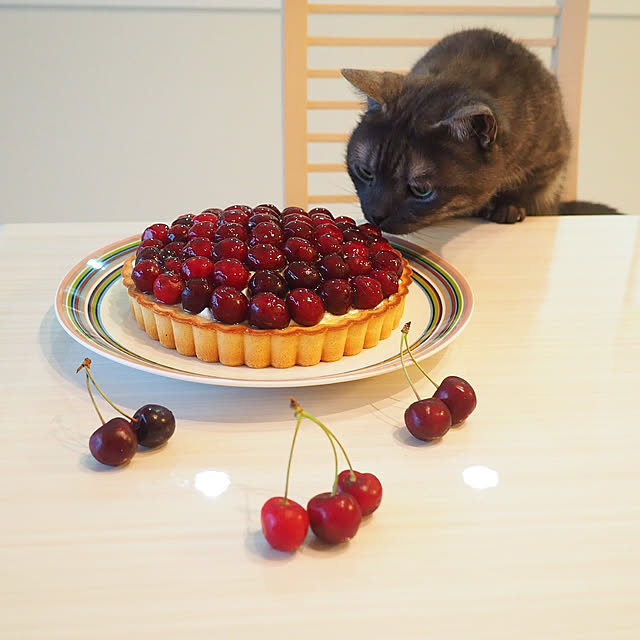 tomatoさんの実例写真