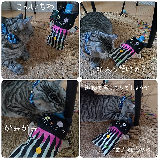hiro3さんの部屋