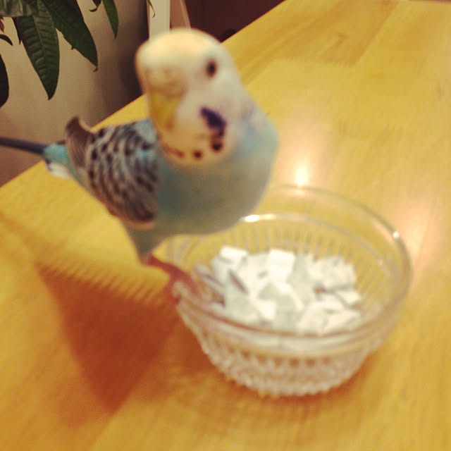 Rikoさんの実例写真