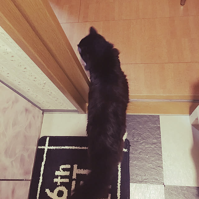 kanaさんの実例写真