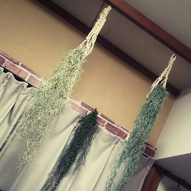 Eriさんの実例写真