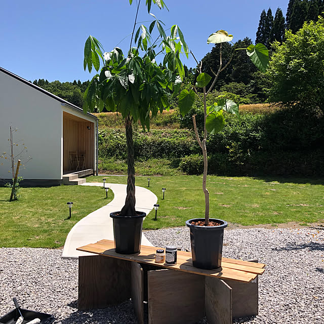 yasaigohanさんの部屋