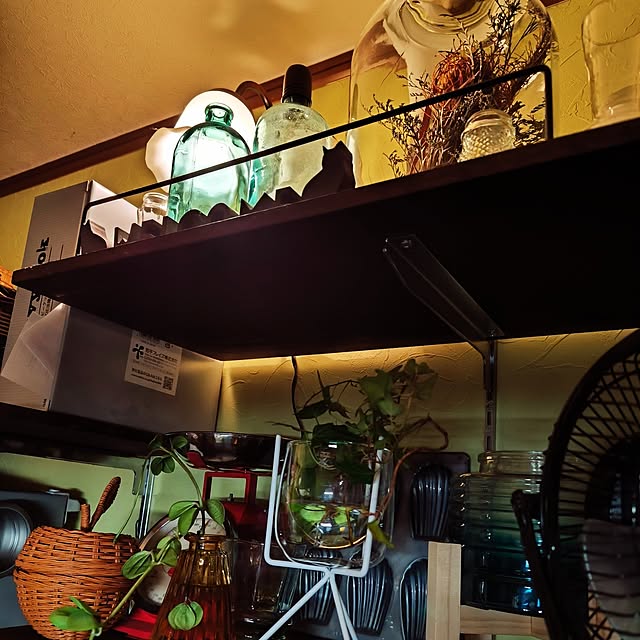 koyutan-mjmさんの部屋