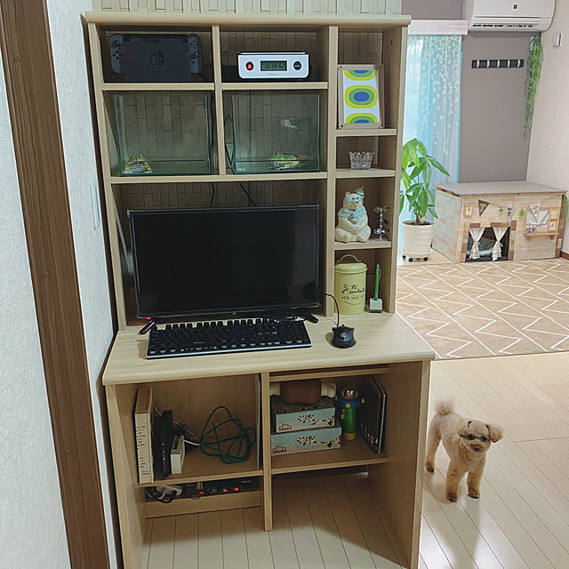 Samさんの実例写真