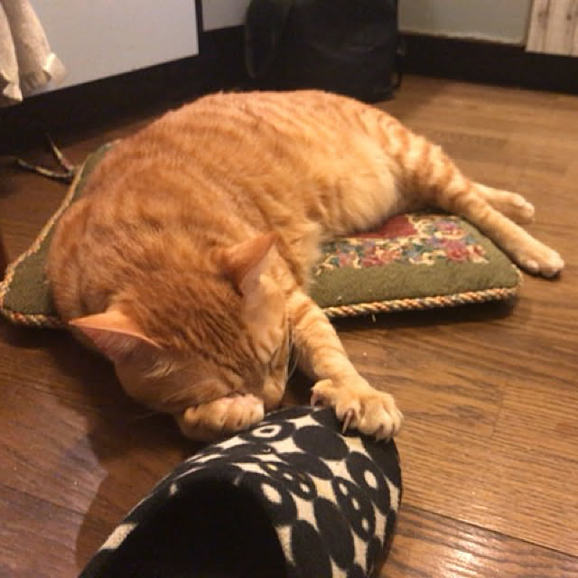su-chanさんの実例写真