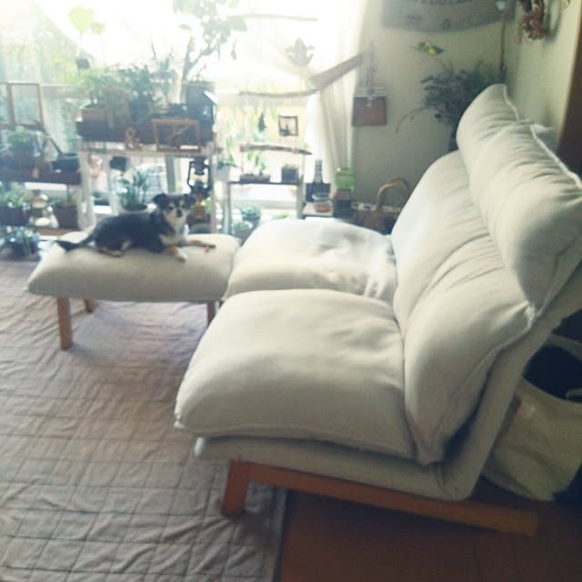 satominさんの実例写真