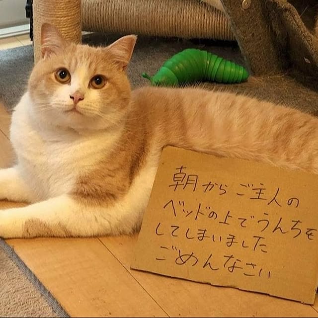 Tackunさんの部屋