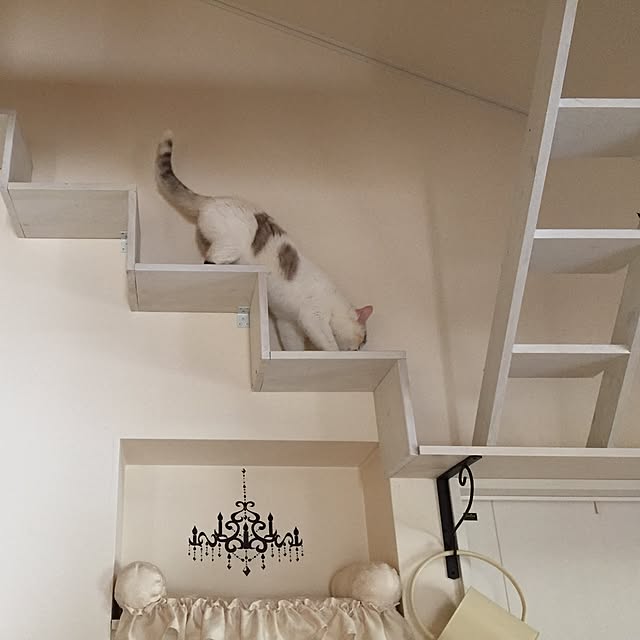 ivoryさんの実例写真